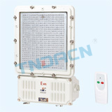 ccd95 type explosion-proof maintenance-free energy-saving lamp(ⅡC)