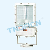 FTd type water-proof dust-proof flood lamp (floodlight)