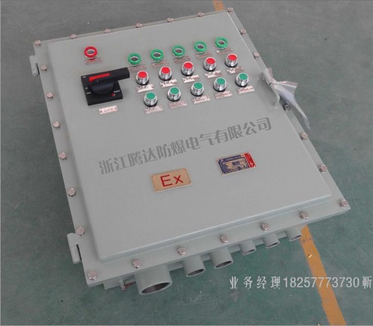 铸铁防爆配电箱
