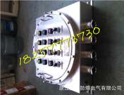 爆炸性气体环境电气安全：防止爆炸的措施