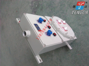 防爆配电箱1月新产品