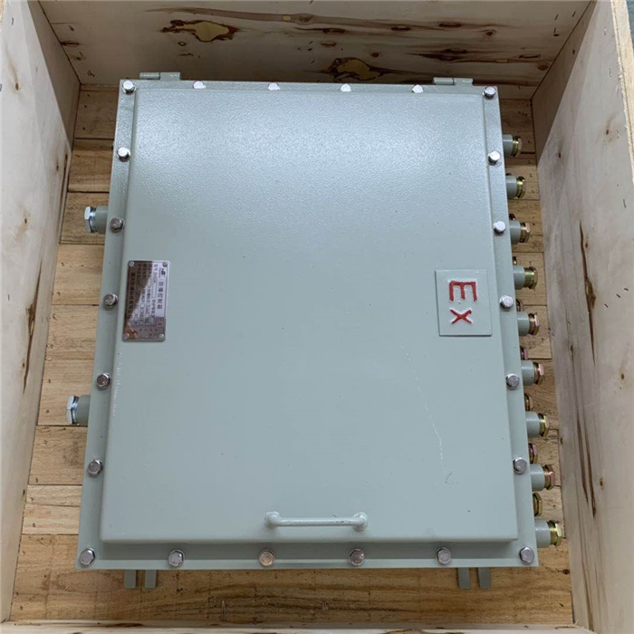 450*600防爆箱 钢板焊接成品箱  多出线孔  防爆接线箱 订制