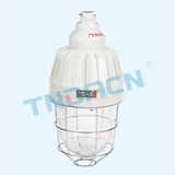 ccd-250 type flame-proof explosion-proof lamp(ⅡC)