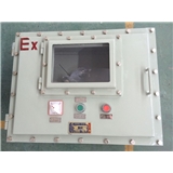 BXK防爆控制箱 防爆仪表箱内装显示器 温控仪称重仪表箱