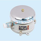BDL-125F type dust explosion-proof electrical bell (DIP)