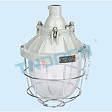 BAD51-F type dust explosion-proof lamp(large)(DIP)