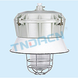 BF-F dust explosion-proof & corrosion-proof lamp (DIP)